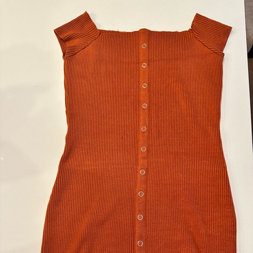 Body Con Burnt siena Mini dress